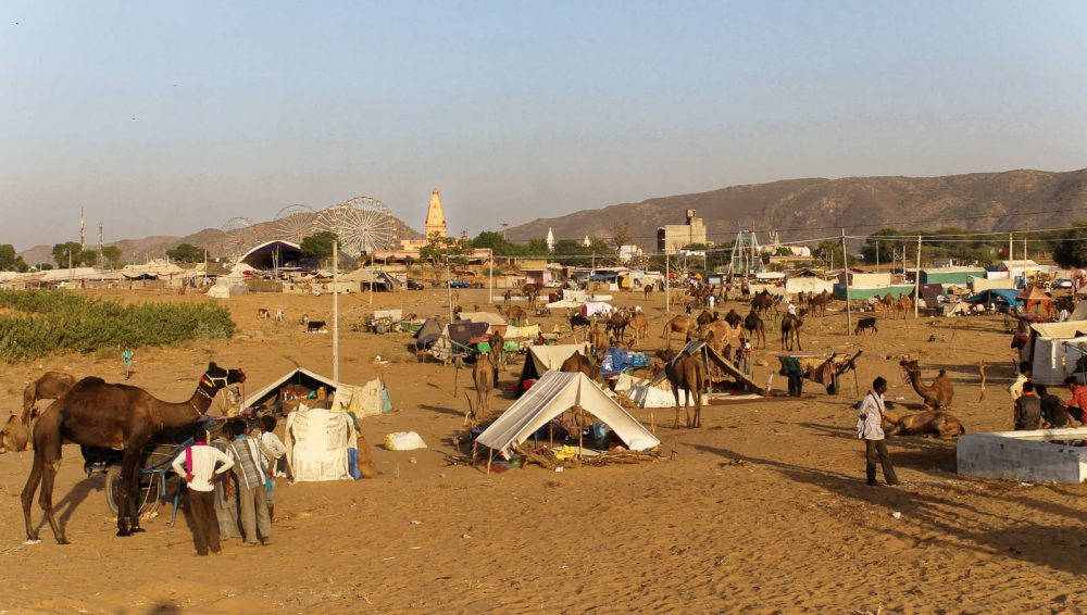 1023_Pushkar-camel-fair-0.jpg