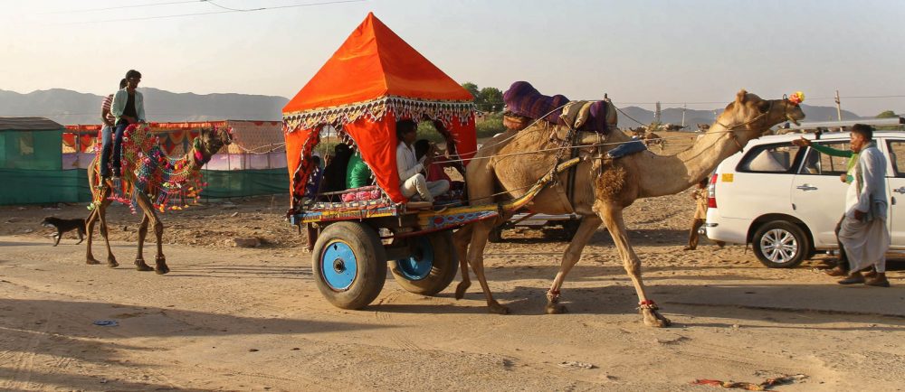 1023_Pushkar-camel-fair-14.jpg