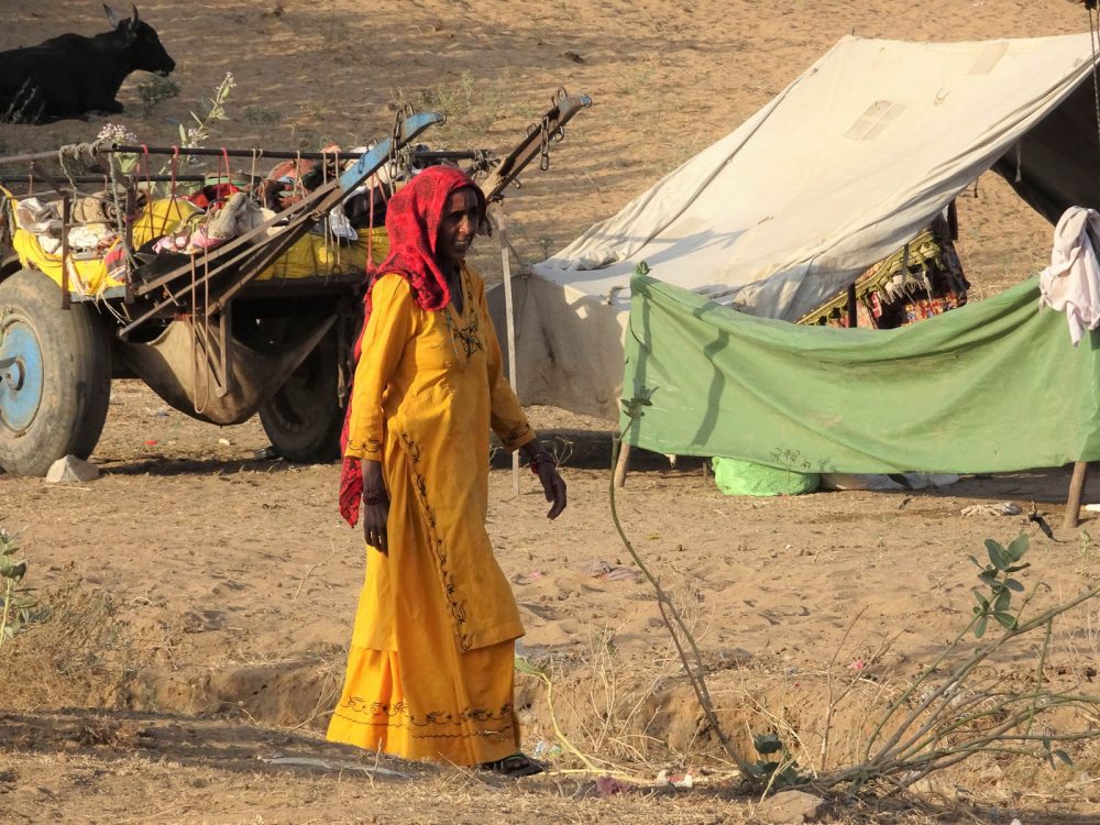 1023_Pushkar-camel-fair-30.jpg