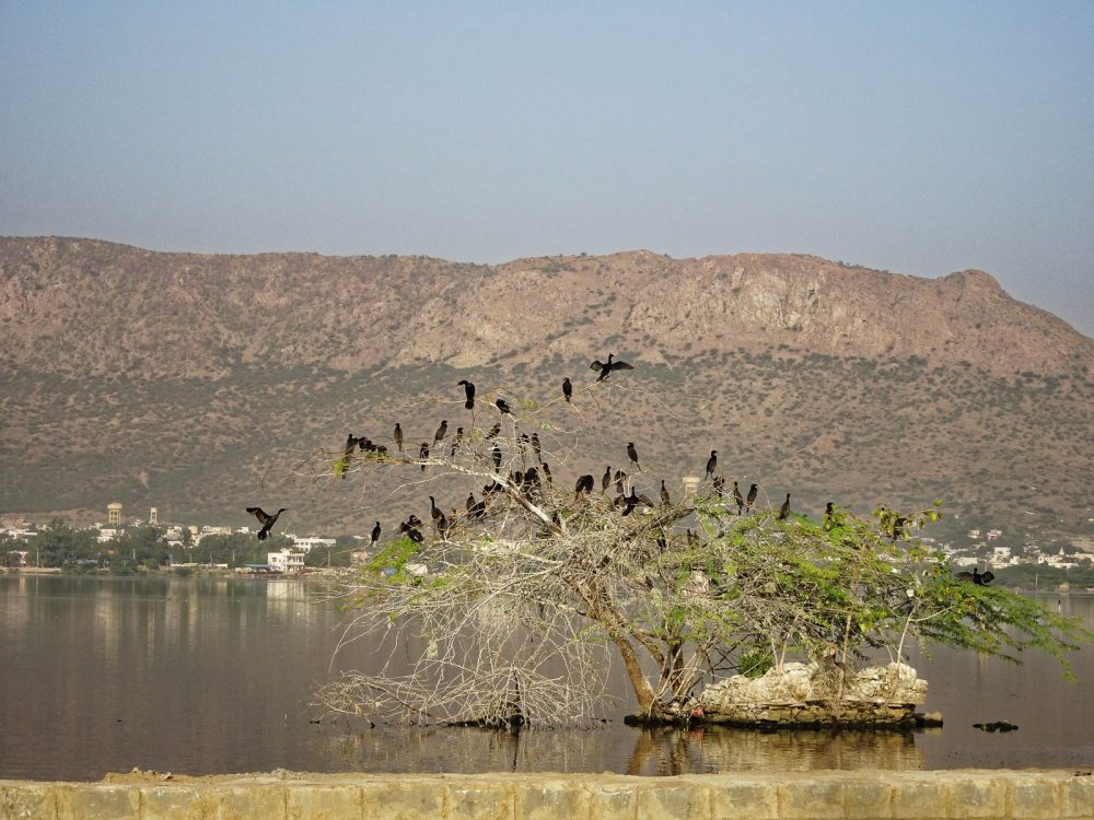 1024_Ajmer-2.jpg