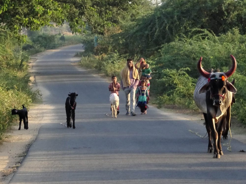1024_Poshina_Villages (4).jpg 1024_Poshina_Villages-4.jpg