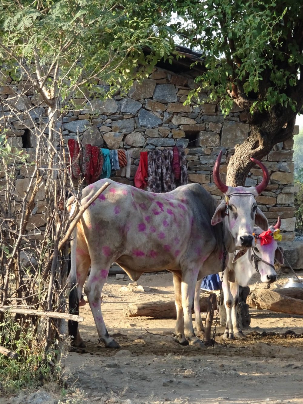 1024_Poshina_Villages (6).jpg 1024_Poshina_Villages-6.jpg