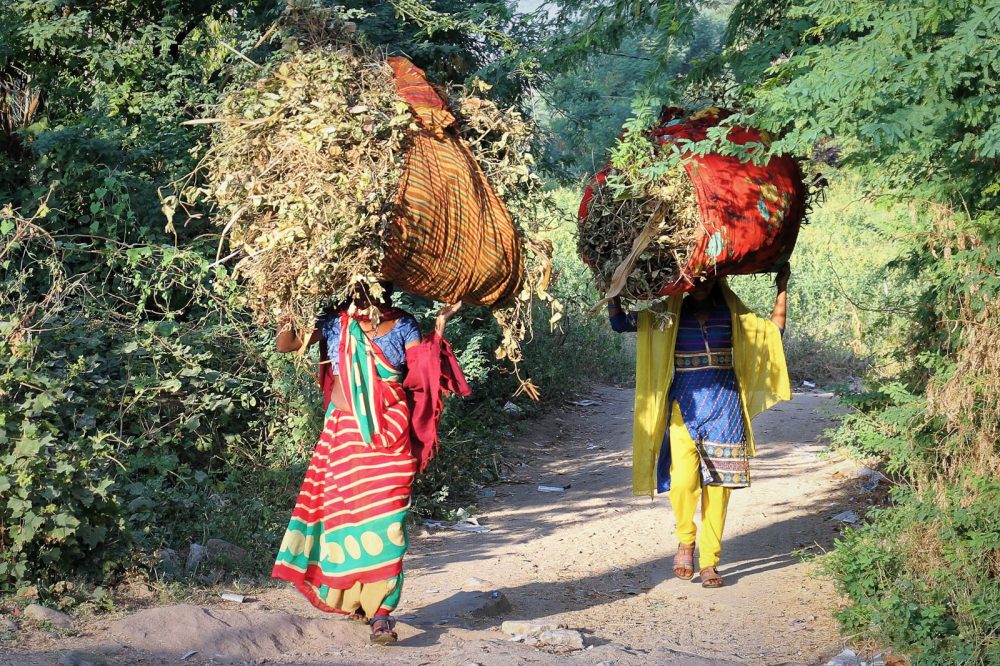 1024_Poshina_Villages (8).jpg 1024_Poshina_Villages-8.jpg
