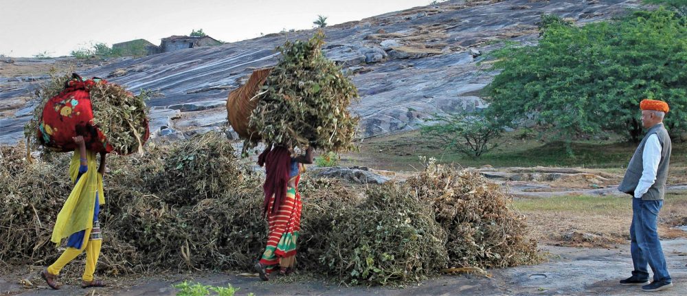 1024_Poshina_Villages (9).jpg 1024_Poshina_Villages-9.jpg