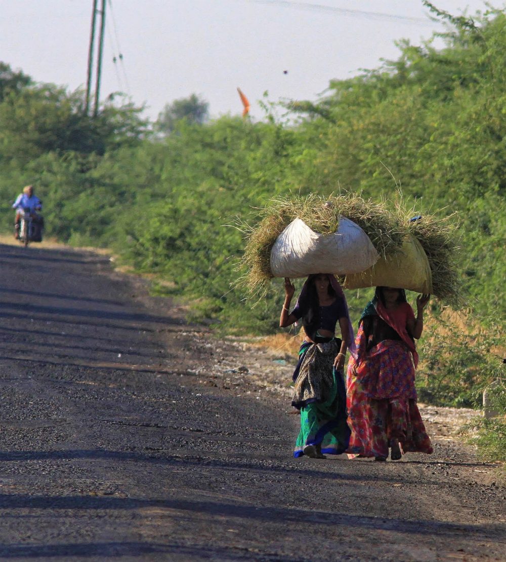 1026_LittleRanOfKutch_Tribes (8).jpg 1026_LittleRanOfKutch_Tribes-8.jpg