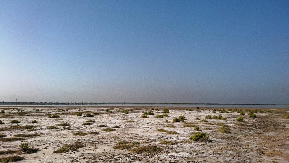 1026_LittleRanOfKutch_morning (0).jpg 1026_LittleRanOfKutch_morning-0.jpg