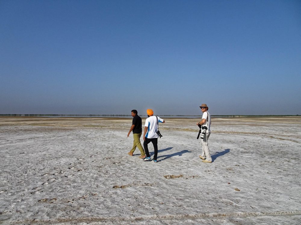 1026_LittleRanOfKutch_morning (35).jpg 1026_LittleRanOfKutch_morning-35.jpg