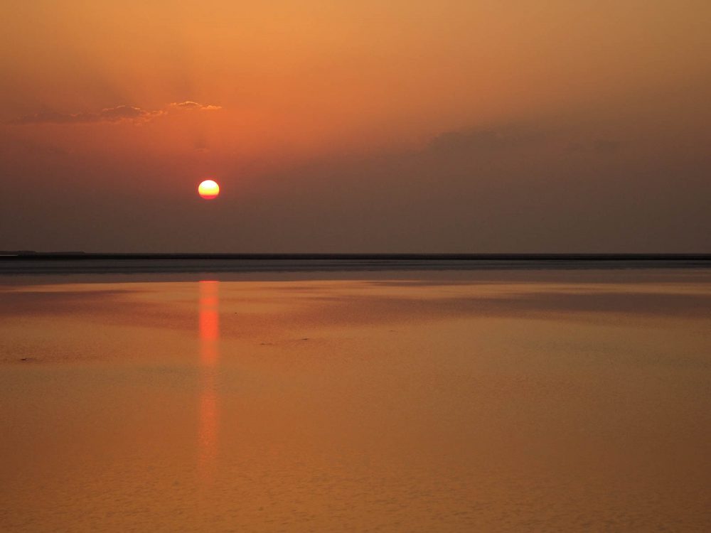 1028_White desert (4).jpg 1028_White-desert-4.jpg