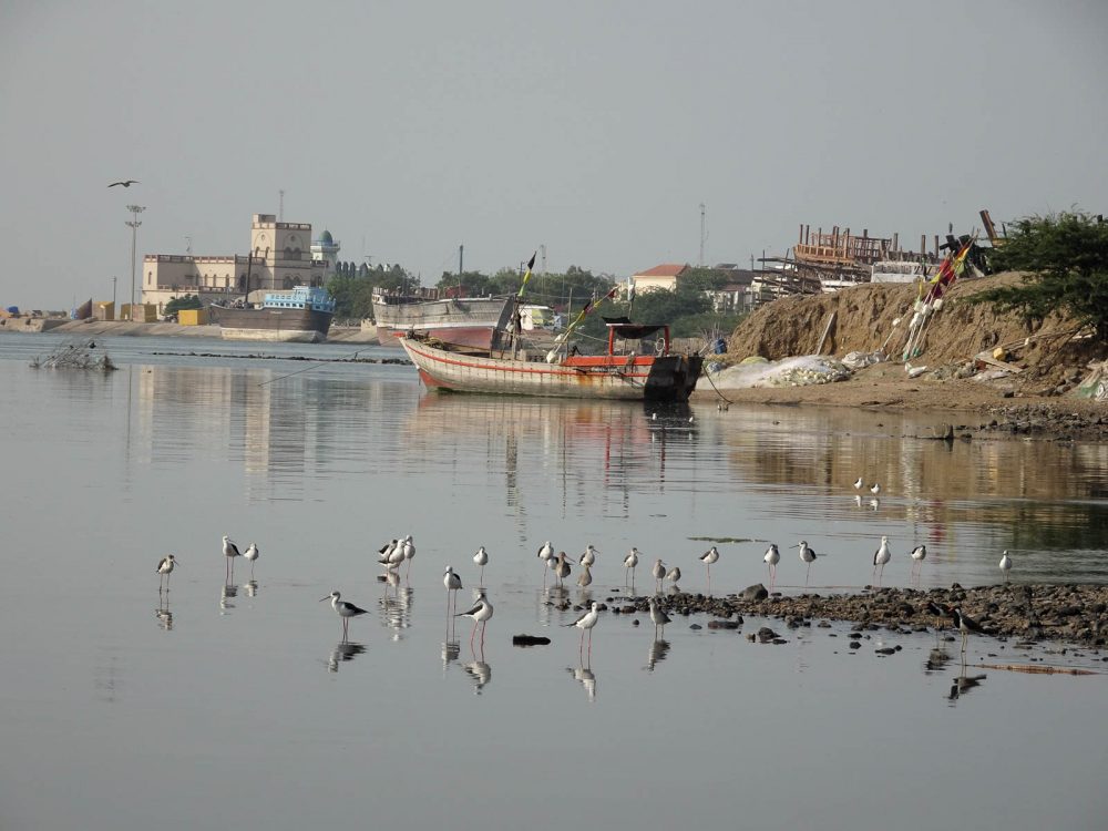 1030_Mandvi_Boat (16).jpg 1030_Mandvi_Boat-16.jpg