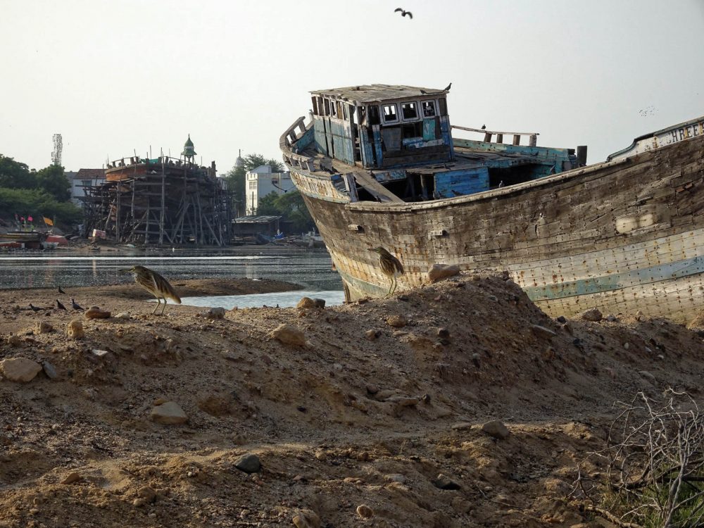 1030_Mandvi_Boat (3).jpg 1030_Mandvi_Boat-3.jpg