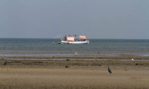 1031_Narara-Marine-reserve-1.jpg