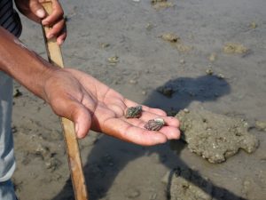 1031_Narara-Marine-reserve-101.jpg