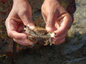 1031_Narara-Marine-reserve-119.jpg