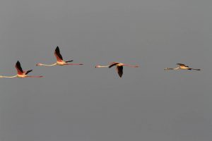 1031_Narara-Marine-reserve-165.jpg