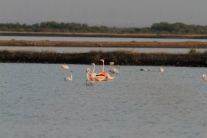 1031_Narara-Marine-reserve-182.jpg