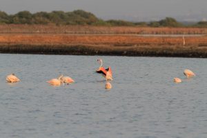 1031_Narara-Marine-reserve-188.jpg