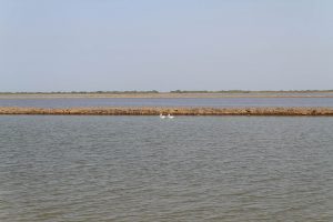 1031_Narara-Marine-reserve-2.jpg