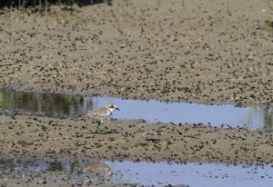 1031_Narara-Marine-reserve-20.jpg
