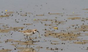 1031_Narara-Marine-reserve-27.jpg