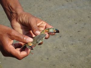 1031_Narara-Marine-reserve-37.jpg