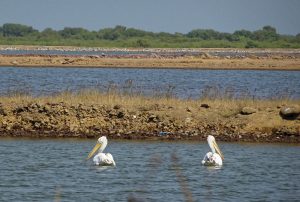 1031_Narara-Marine-reserve-4.jpg