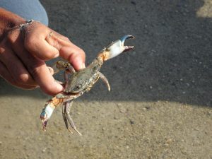1031_Narara-Marine-reserve-44.jpg