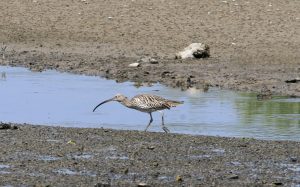 1031_Narara-Marine-reserve-6.jpg