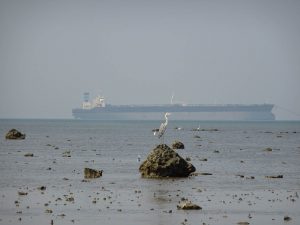 1031_Narara-Marine-reserve-66.jpg