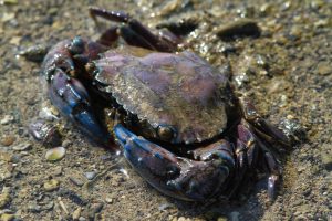 1031_Narara-Marine-reserve-78.jpg