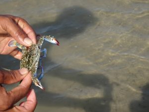 1031_Narara-Marine-reserve-86.jpg