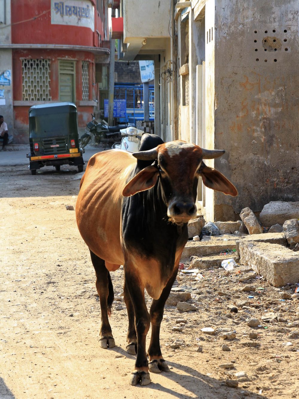 1101_Dwarka (72).jpg 1101_Dwarka-72.jpg
