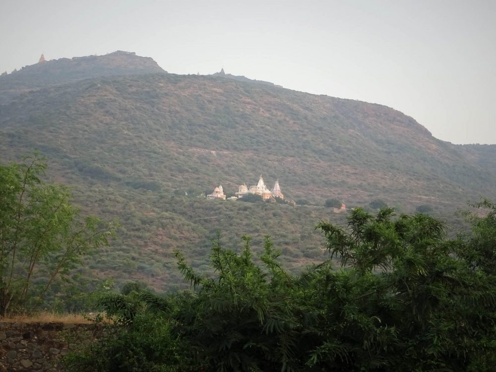 1106_Palitana (6).jpg 1106_Palitana-6.jpg