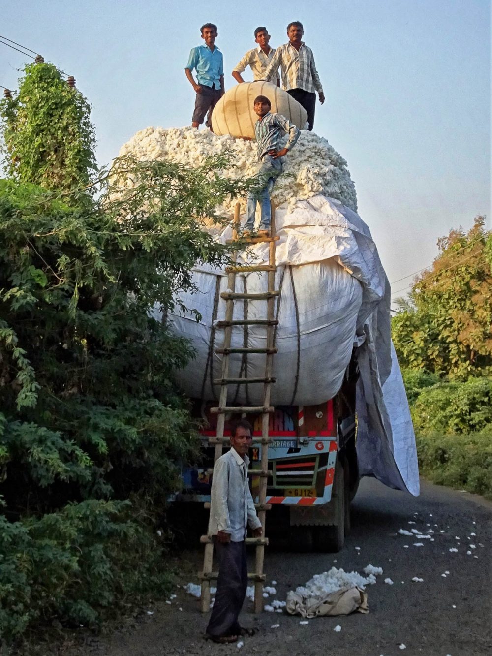 1106_Palitana (72).jpg 1106_Palitana-72.jpg