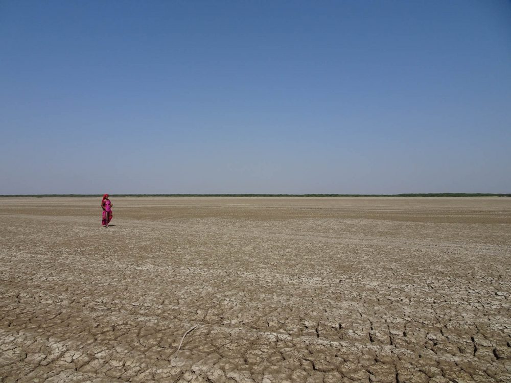 20171026_LittleRanOfKutch_Salt workers (14).jpg 20171026_LittleRanOfKutch_Salt-workers-14.jpg